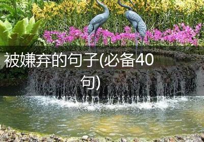 被嫌弃的句子(必备40句)