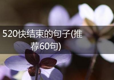 520快结束的句子(推荐60句)