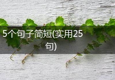 5个句子简短(实用25句)