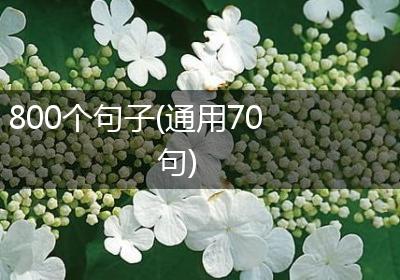800个句子(通用70句)