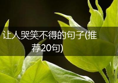 让人哭笑不得的句子(推荐20句)
