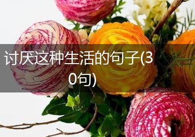 讨厌这种生活的句子(30句)