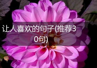 让人喜欢的句子(推荐30句)