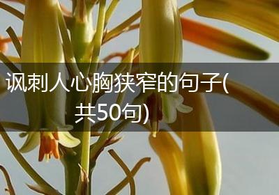 讽刺人心胸狭窄的句子(共50句)