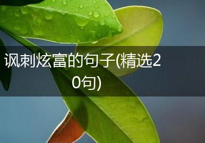 讽刺炫富的句子(精选20句)