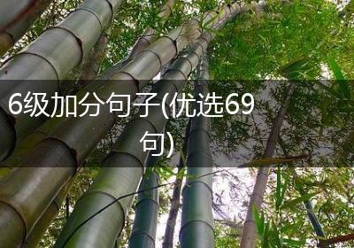 6级加分句子(优选69句)