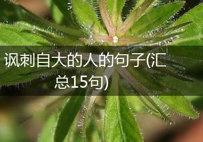 讽刺自大的人的句子(汇总15句)