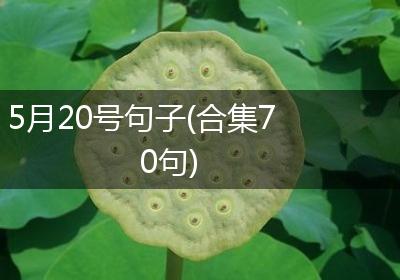 5月20号句子(合集70句)