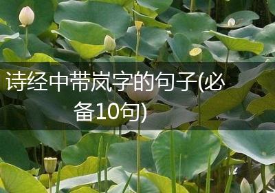 诗经中带岚字的句子(必备10句)