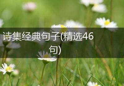 诗集经典句子(精选46句)
