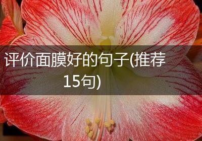 评价面膜好的句子(推荐15句)