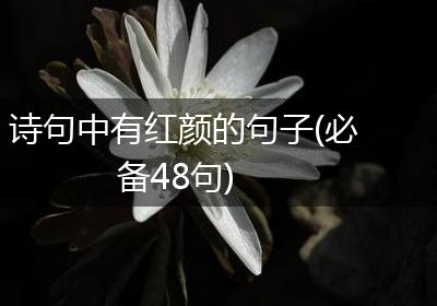诗句中有红颜的句子(必备48句)