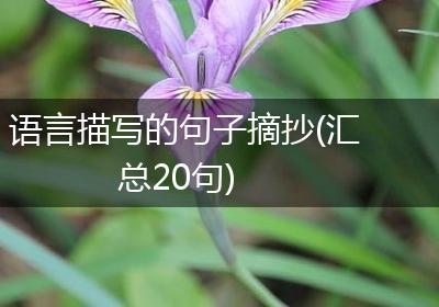 语言描写的句子摘抄(汇总20句)