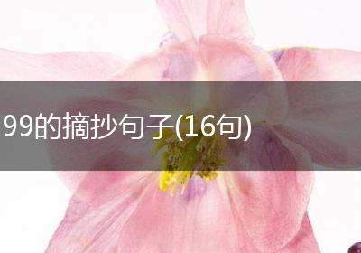99的摘抄句子(16句)