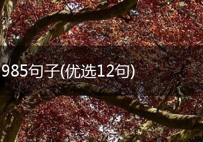 985句子(优选12句)