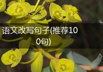 语文改写句子(推荐100句)
