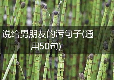 说给男朋友的污句子(通用50句)