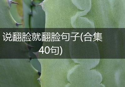 说翻脸就翻脸句子(合集40句)