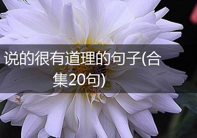 说的很有道理的句子(合集20句)