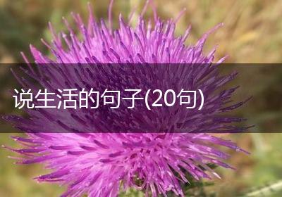 说生活的句子(20句)