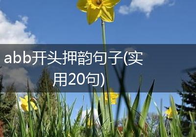 abb开头押韵句子(实用20句)