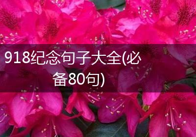 918纪念句子大全(必备80句)
