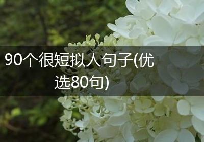 90个很短拟人句子(优选80句)