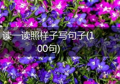 读一读照样子写句子(100句)