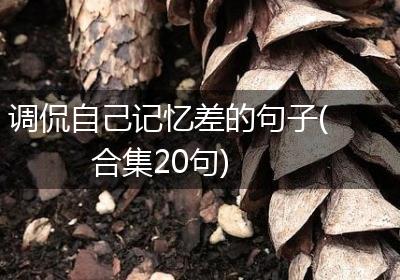 调侃自己记忆差的句子(合集20句)