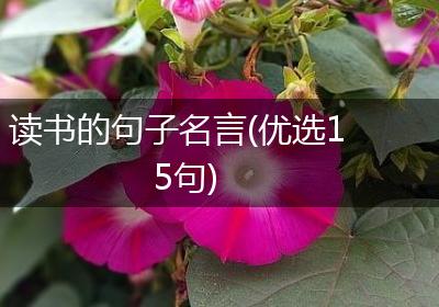 读书的句子名言(优选15句)