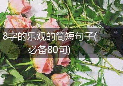 8字的乐观的简短句子(必备80句)