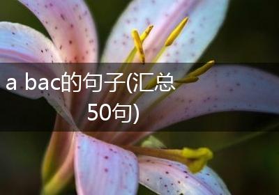 a bac的句子(汇总50句)