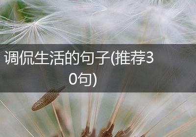 调侃生活的句子(推荐30句)
