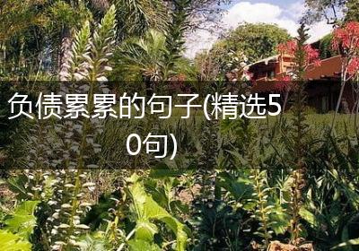 负债累累的句子(精选50句)