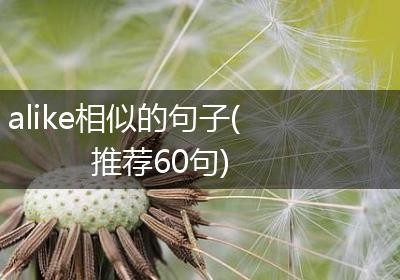 alike相似的句子(推荐60句)