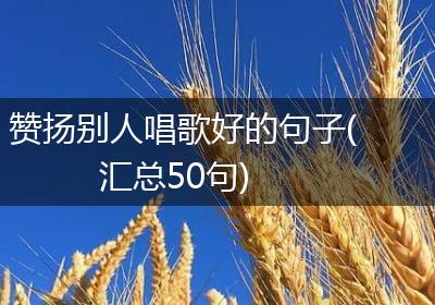 赞扬别人唱歌好的句子(汇总50句)
