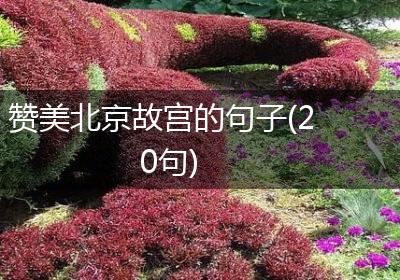 赞美北京故宫的句子(20句)