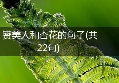 赞美人和杏花的句子(共22句)