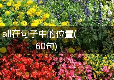 all在句子中的位置(60句)