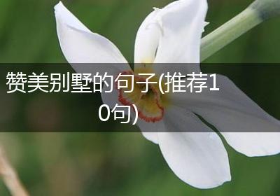 赞美别墅的句子(推荐10句)