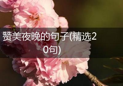 赞美夜晚的句子(精选20句)