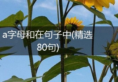 a字母和在句子中(精选80句)