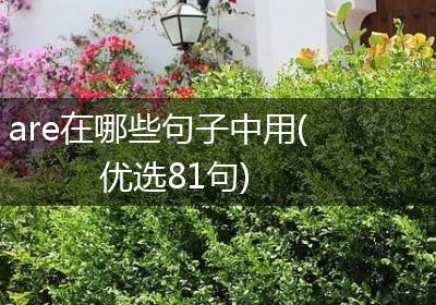are在哪些句子中用(优选81句)