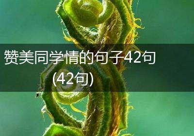 赞美同学情的句子42句(42句)