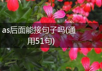as后面能接句子吗(通用51句)