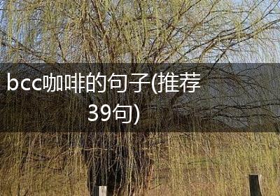 bcc咖啡的句子(推荐39句)