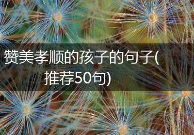 赞美孝顺的孩子的句子(推荐50句)