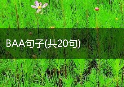 BAA句子(共20句)