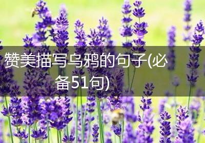 赞美描写乌鸦的句子(必备51句)