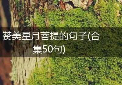 赞美星月菩提的句子(合集50句)